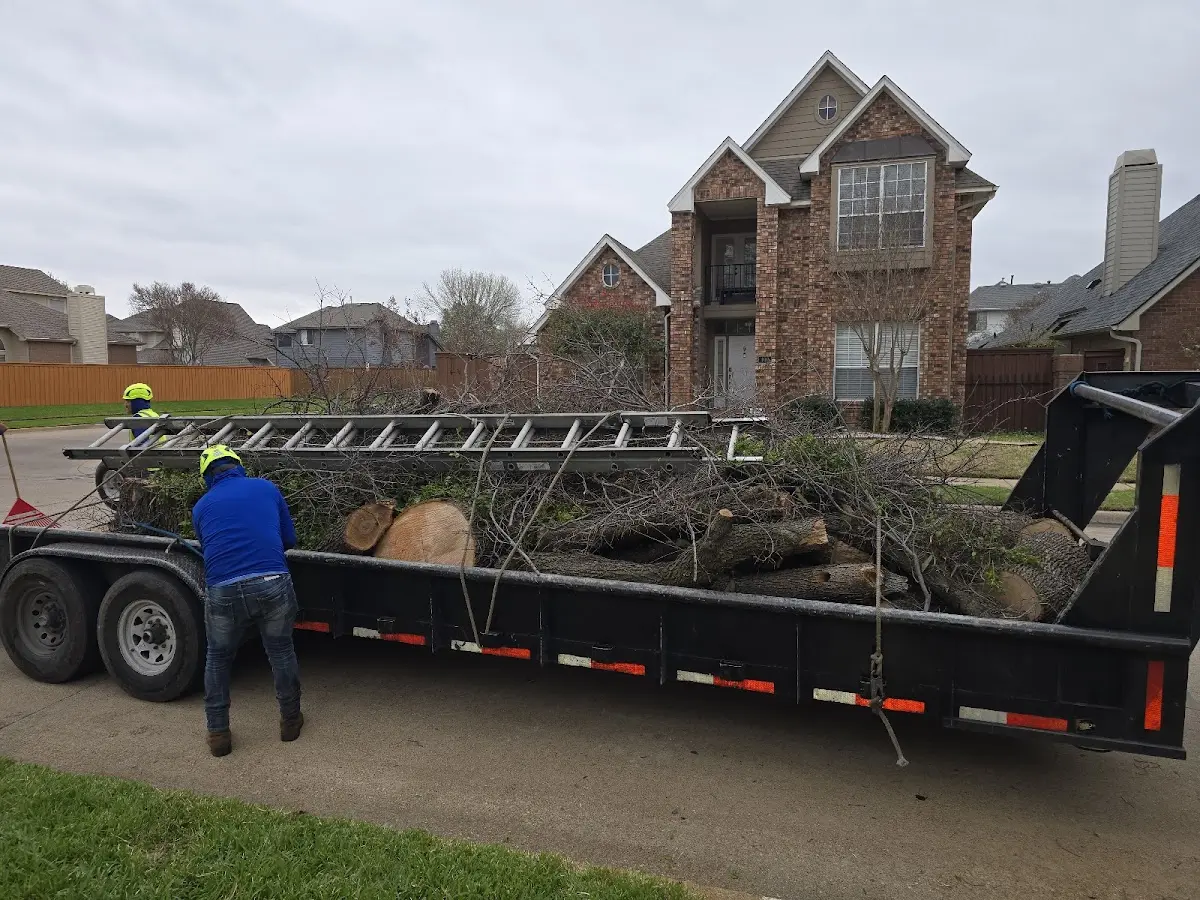 Expert Lot Clearing with proper safety equipment in Divide